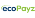 EcoPayz icon